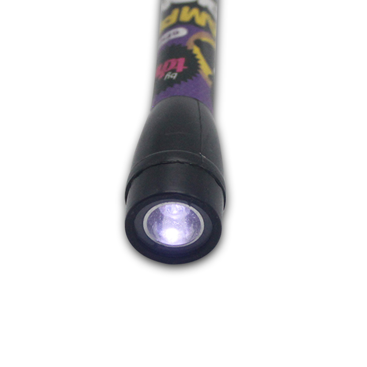 Torch Flashing Lights Gift Battery-Operated Toys